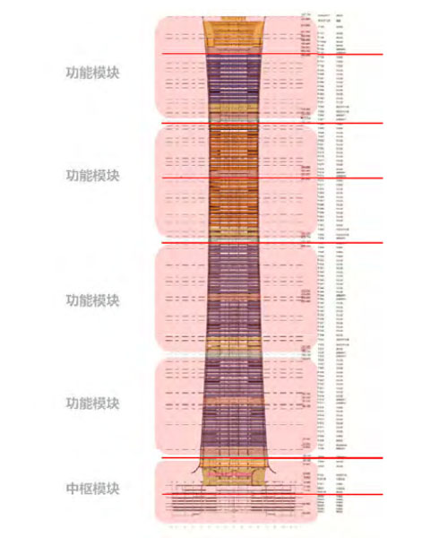 Z15中国尊BIM应用