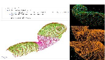 杭州奥体中心体育游泳馆项目中的BIM应用